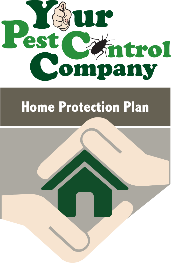your pest control company your pest control company